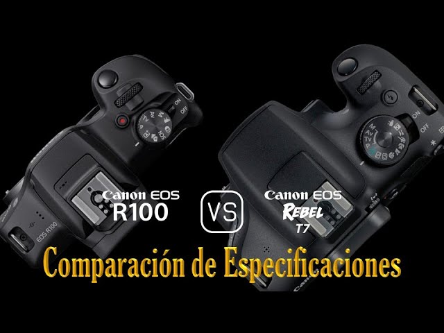 Canon EOS R100 vs. Canon EOS Rebel T7: Una Comparación de Especificaciones