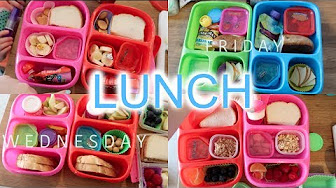 School Lunch & Snack Ideas For Kids!