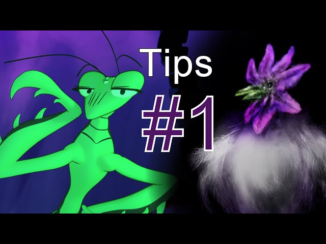 Sophodra's Tips #1: Chickens - Sci-Fi Insect Animation