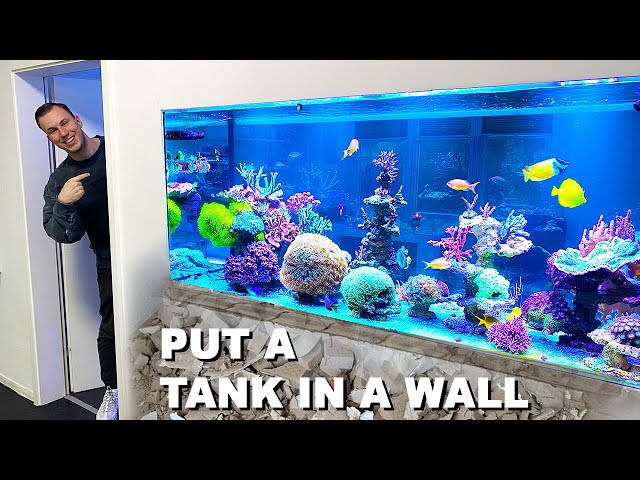 "How to build a reef tank into a wall" - SALTWATER AQUARIUM - *not easy!!*