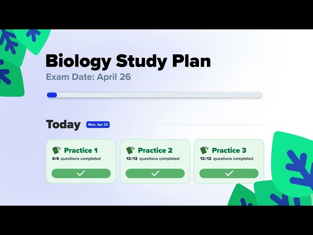 Get ready for your exams with Brainly Test Prep