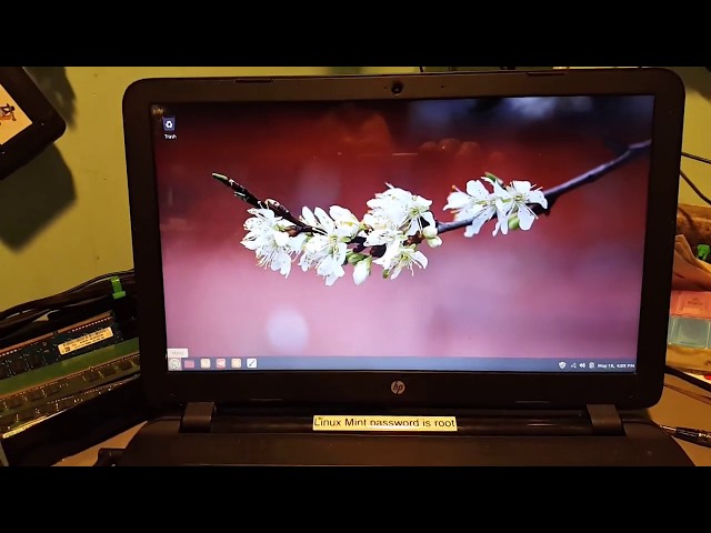 HP Notebook - 15-f233wm SSD Upgrade & Windows/Linux Dual Boot