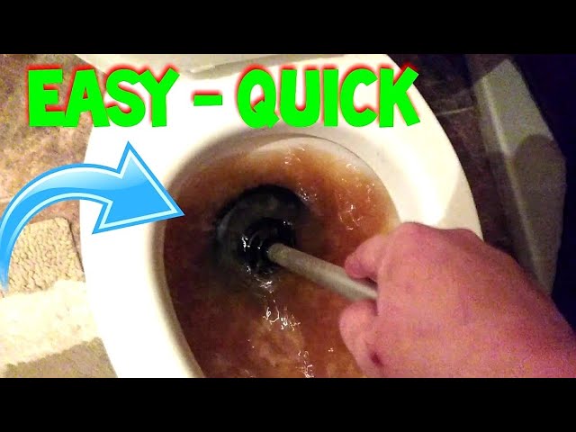 How to Unclog toilet easy quickly with plunger