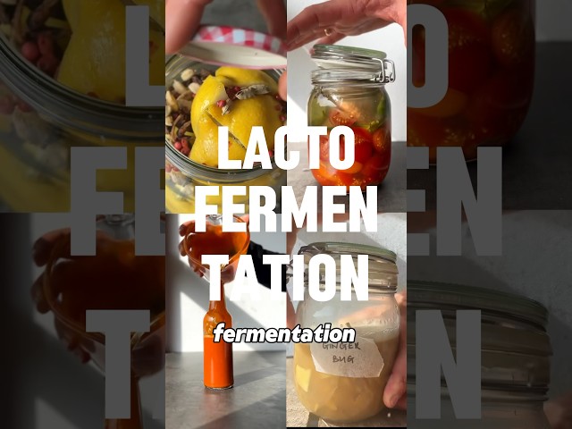 Lactofermented preserved lemons (also known as confit lemons) 🍋