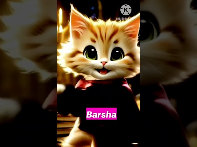 patali camari more cat dance #t #song #bhojpuri #bollywood #love #music #funny #viralvideo #newsong