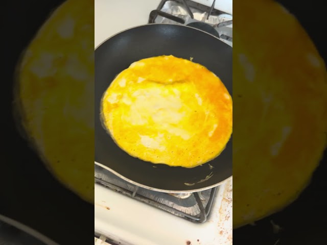 My egg, how to cook an egg like a pro