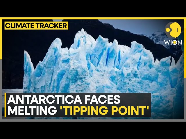 Antarctic faces melting 'tipping point' as oceans warm: Study | WION Climate Tracker