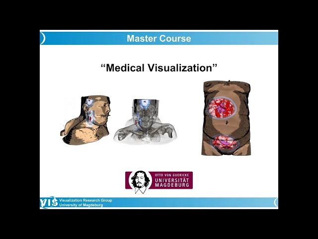 Medical Visualization - Interaction Techniques in Medical Volume Visualization (4)