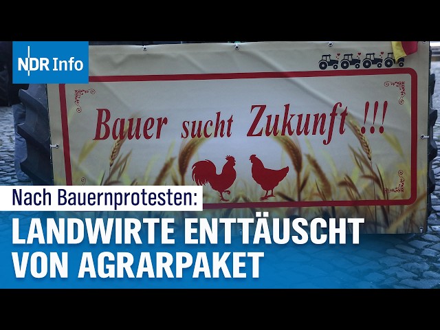 "Päckchen" statt Rettung: Bauernverband kritisiert Entlastungspaket der Ampel scharf | NDR Info