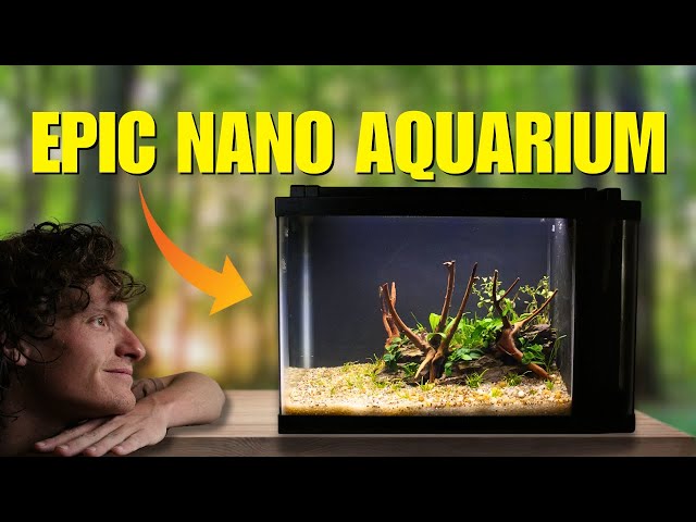 How to: Epic 5 Gallon Aquarium Build
