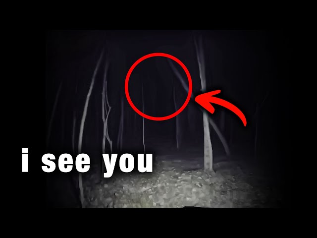 6 Most Scary Camping Encounters Caught on Camera