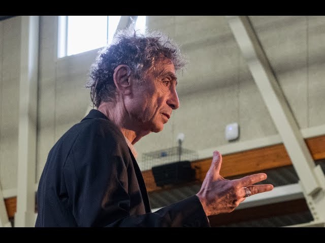 Dr. Gabor Maté speaks about The Wounded Healer