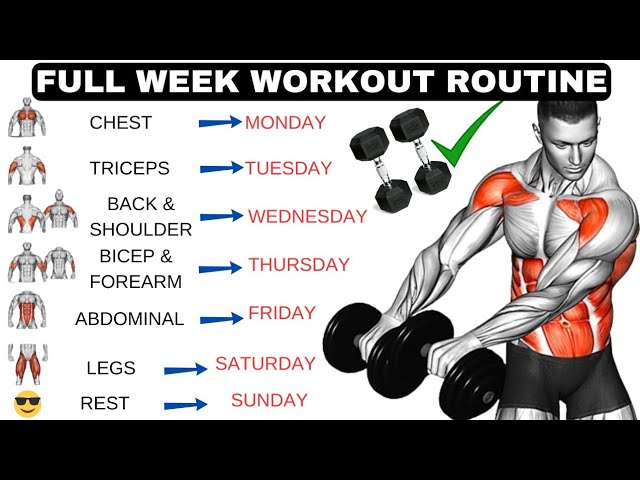 Full Week Workout Plan At Home With Dumbbells | No Gym Full Body Workout