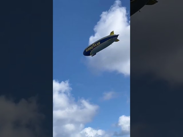 Goodyear blimp in the Florida life