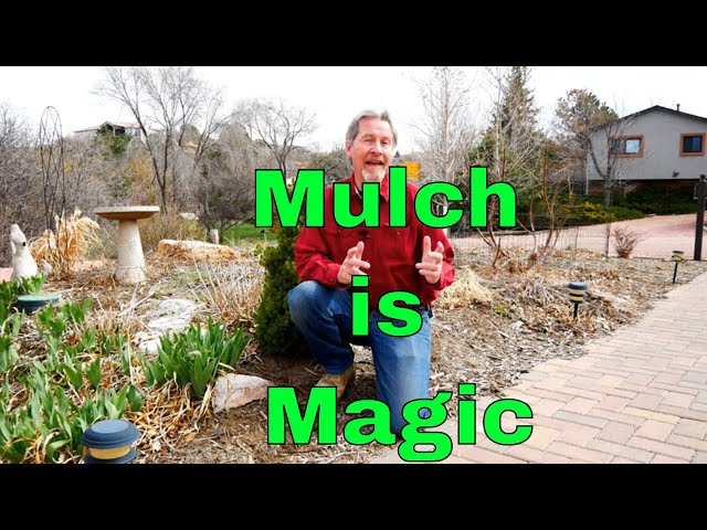 Understanding Mulch - Magic in the Garden