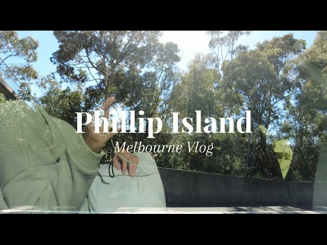 MELBOURNE VLOG | farm stay,  chocolate factory, look out, penguin parade, bathing boxes, helicopter