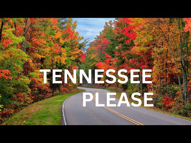 10 best places to visit in Tennessee in 2024: must visit #travel |@Allison Anderson