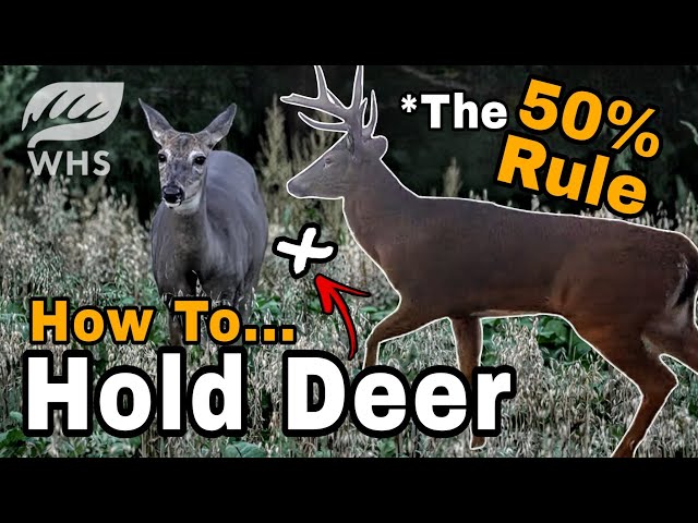 How We Build Deer Sanctuaries