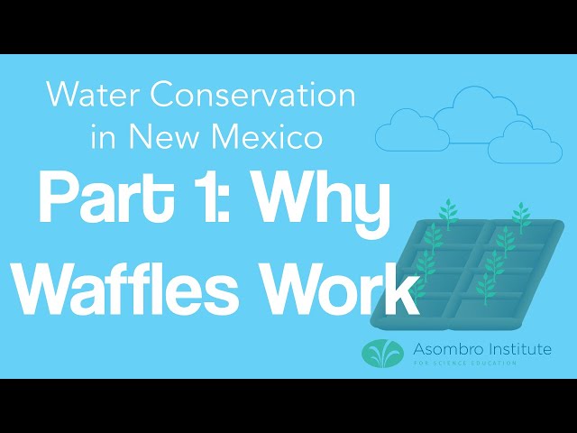 Water Conservation in New Mexico Part 1: Why Waffles Work