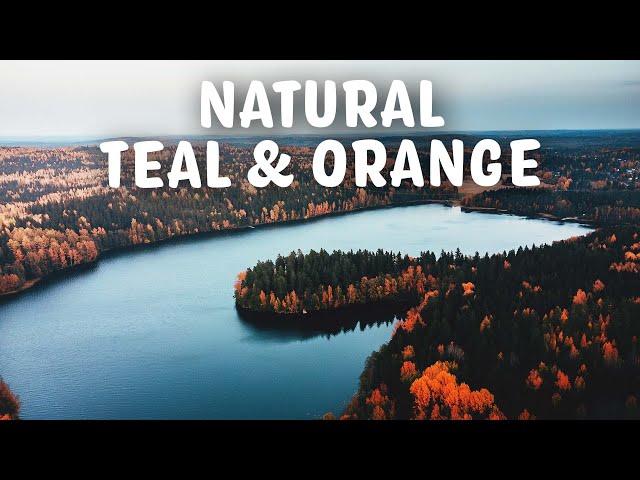 Teal and Orange Explained (Why Autumn Colors Look Incredible)