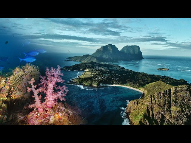 Sky & Sea | Magical Lord Howe Island 4K Footage: Underwater and Drone Relaxation Film