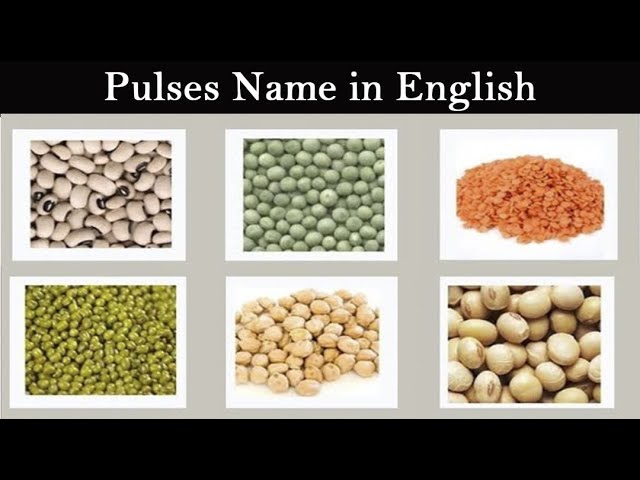 Pulses Name in English | Pulses Vocabulary | Name of Pulses | Learn Pulses Name