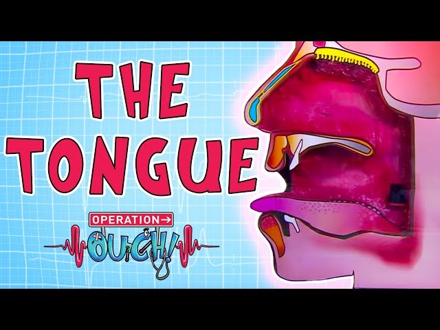 Operation Ouch - Tongue | Science Lessons for Kids