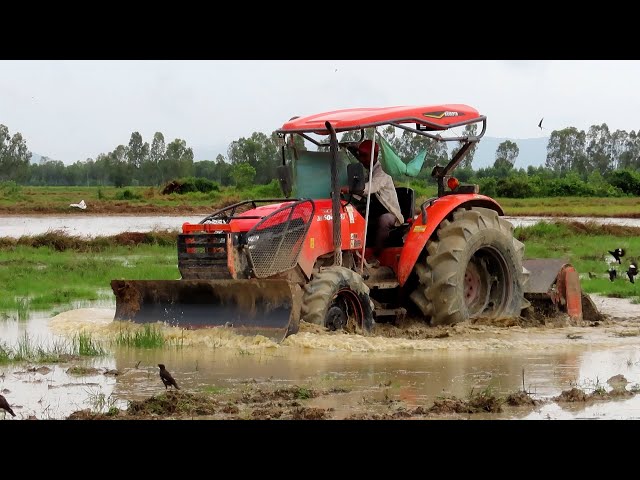 Strong Tractor Kubota M6040SU Working Pulling Cultivator In Mud Underwater | Tractor Mower Mudding