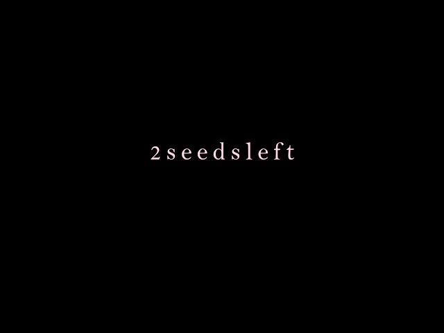 2seedsleft - Winter Komes (OFFICIAL VIDEO)
