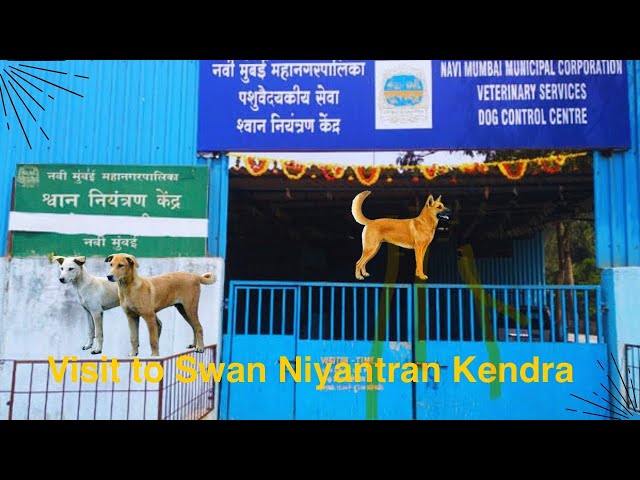 Visit to Swan (Dog) Niyantran Kendra - Turbhe #doghospital #turbhe #nmmc #swan #dogcare #informative