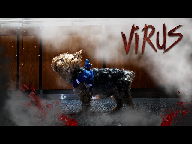 Virus: Short Film (2020)