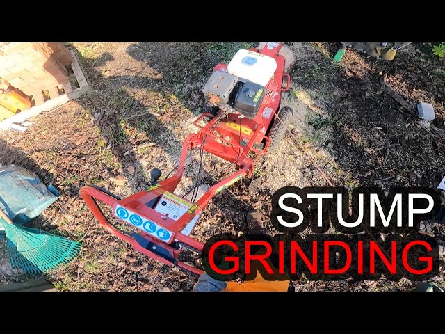 The BEST Way To Remove Your Garden Tree Stumps