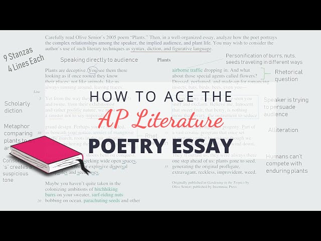 How to Ace the AP Lit Poetry Essay | Annotate With Me