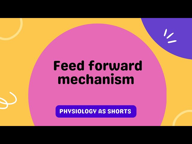 Feed forward mechanism