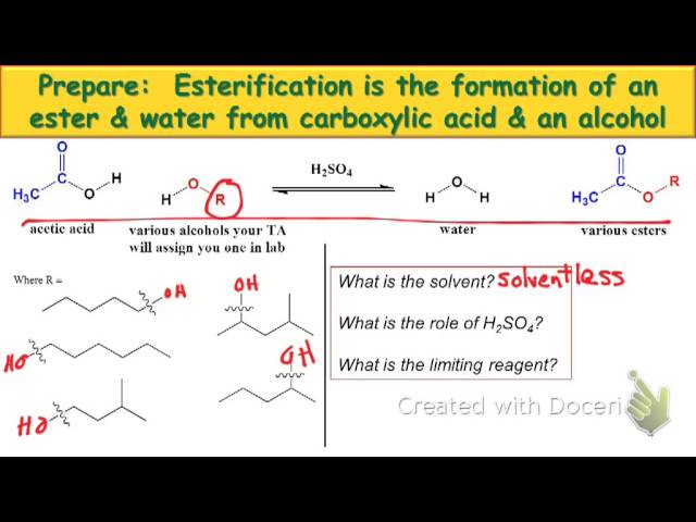 CHM237: Esterification Recitation