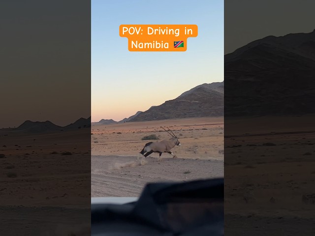 Driving in Namibia 🇳🇦