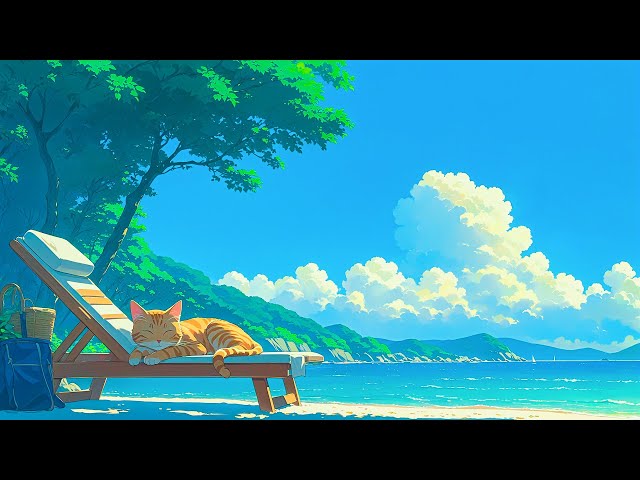 Lofi Cat Chill 🍀 Summer Beach Make You Feel Chill and Free 🐱 Deep Focus on Study/Work/Relax
