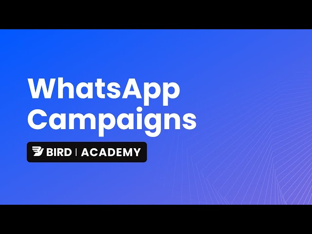Create and send a WhatsApp campaign