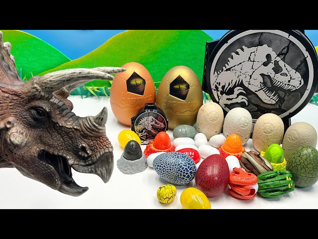 20 Dinosaur Egg Collection | Tyrannosaurus Triceratops Jurassic World Dinos