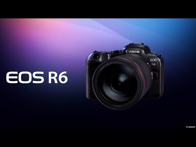 Canon EOS R6 | First Look