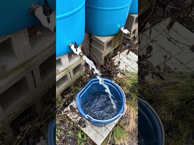 Rain barrels- we use these to water the animals!