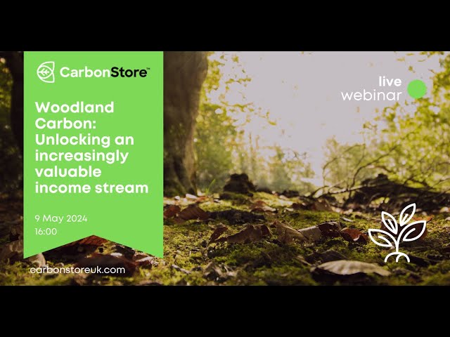 Webinar: Unlocking an Increasingly Valuable Income Stream with Woodland Carbon