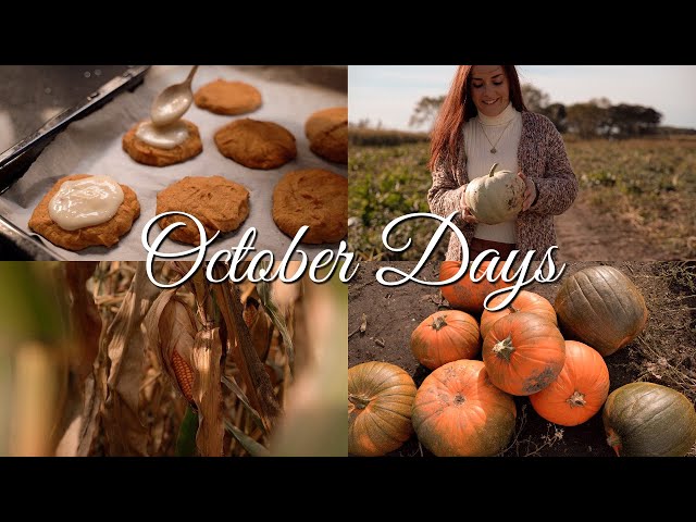 Cozy Autumn Day in English Countryside 🍂 Pumpkin Picking, Autumn Baking, Cozy Autumn Days in England