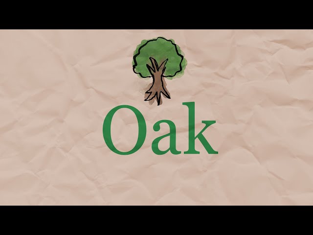 Oak -- a song by me