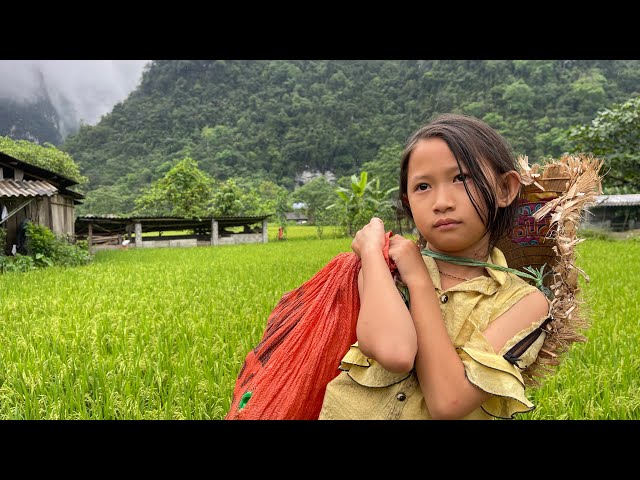 FULL VIDEO | ORPHAN GIRL FEELS UNFORTUNATE WHEN SHE CAN’T GO TO SCHOOL LIKE HER FRIENDS | Linh Lý