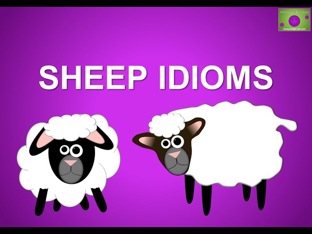 Baa-rilliant Sheep Idioms and Expressions: Understanding Common English Phrases
