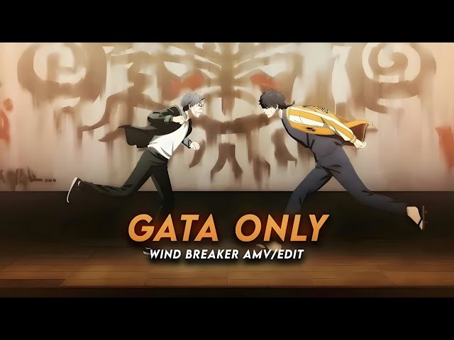 Gata Only | Wind Breaker Alight motion AMV_EDIT @senroy remake + project-file