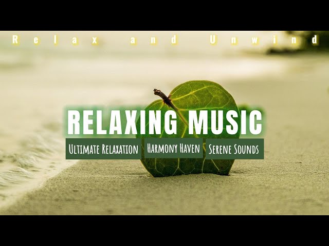 Harmony Haven | Serene Sounds for Ultimate Relaxation #relaxationheaven #music