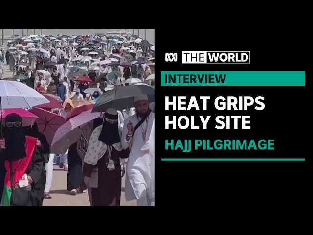 ‘Unprecedented’ heat deaths after Hajj pilgrimage sees 50-degree days | The World