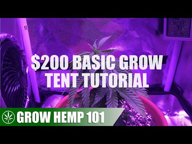 Basic Grow Tent & Indoor Timelapse Grow Tutorial